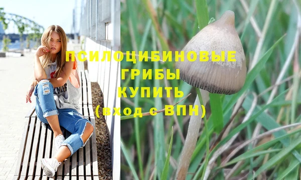 MDMA Premium VHQ Богородск