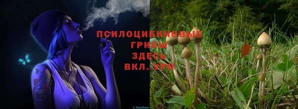 MDMA Premium VHQ Богородск